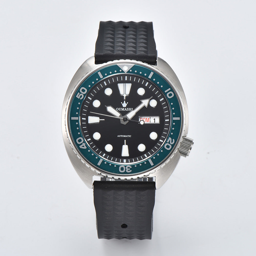 CUSTOM Turtle 鲍鱼