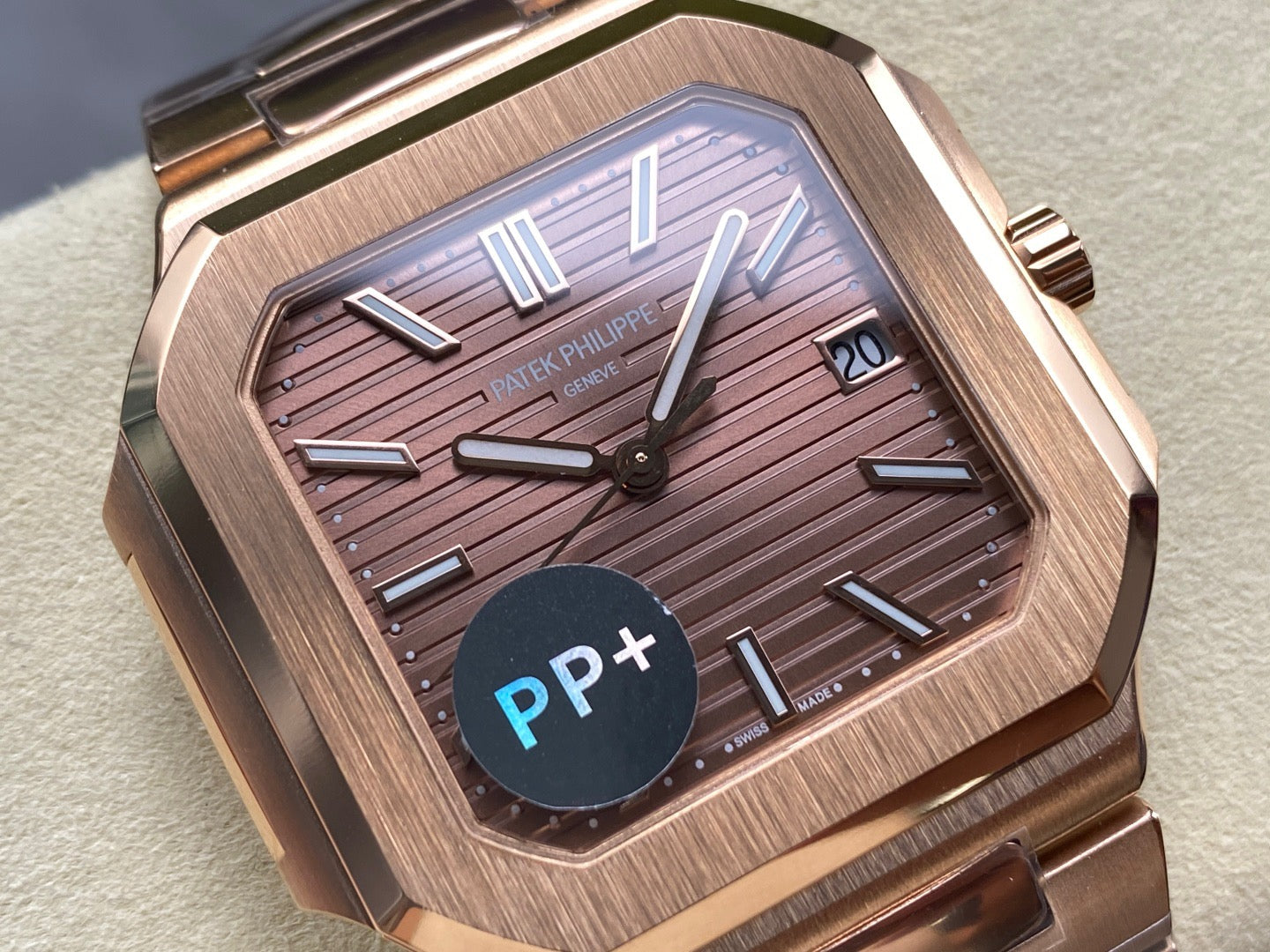 PP+ factory CUBITUS 5821