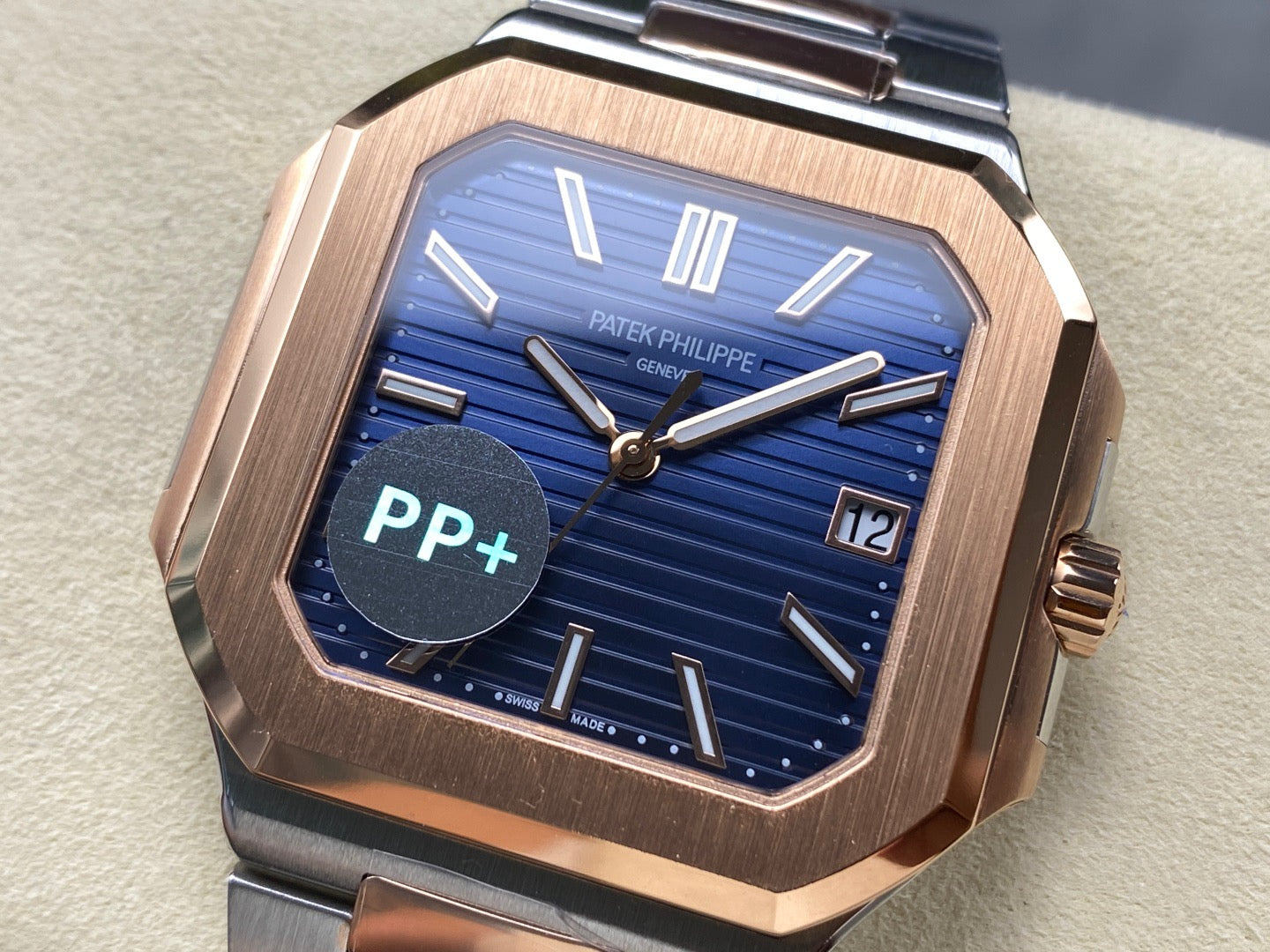 PP+ factory CUBITUS 5821