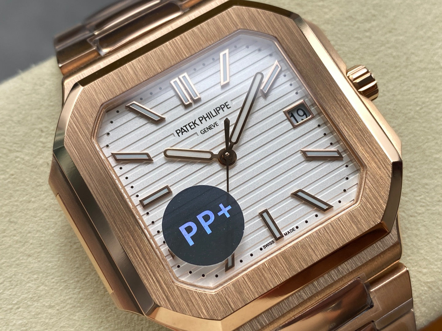 PP+ factory CUBITUS 5821