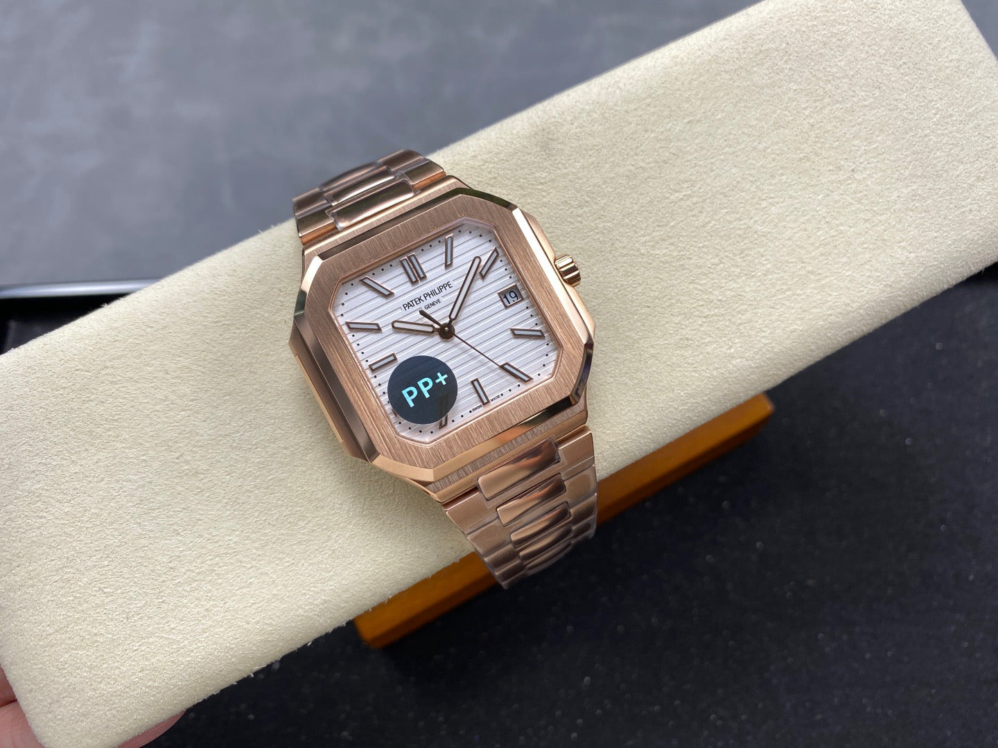 PP+ factory CUBITUS 5821