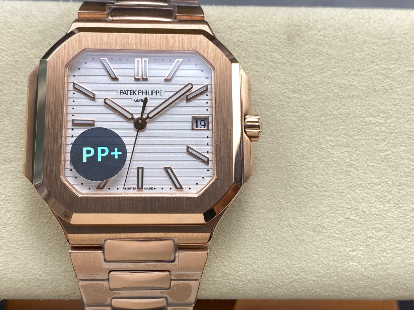 PP+ factory CUBITUS 5821