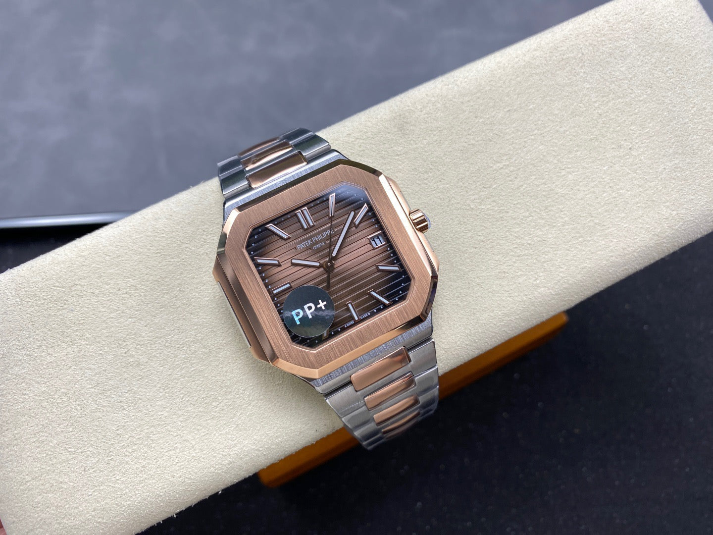 PP+ factory CUBITUS 5821