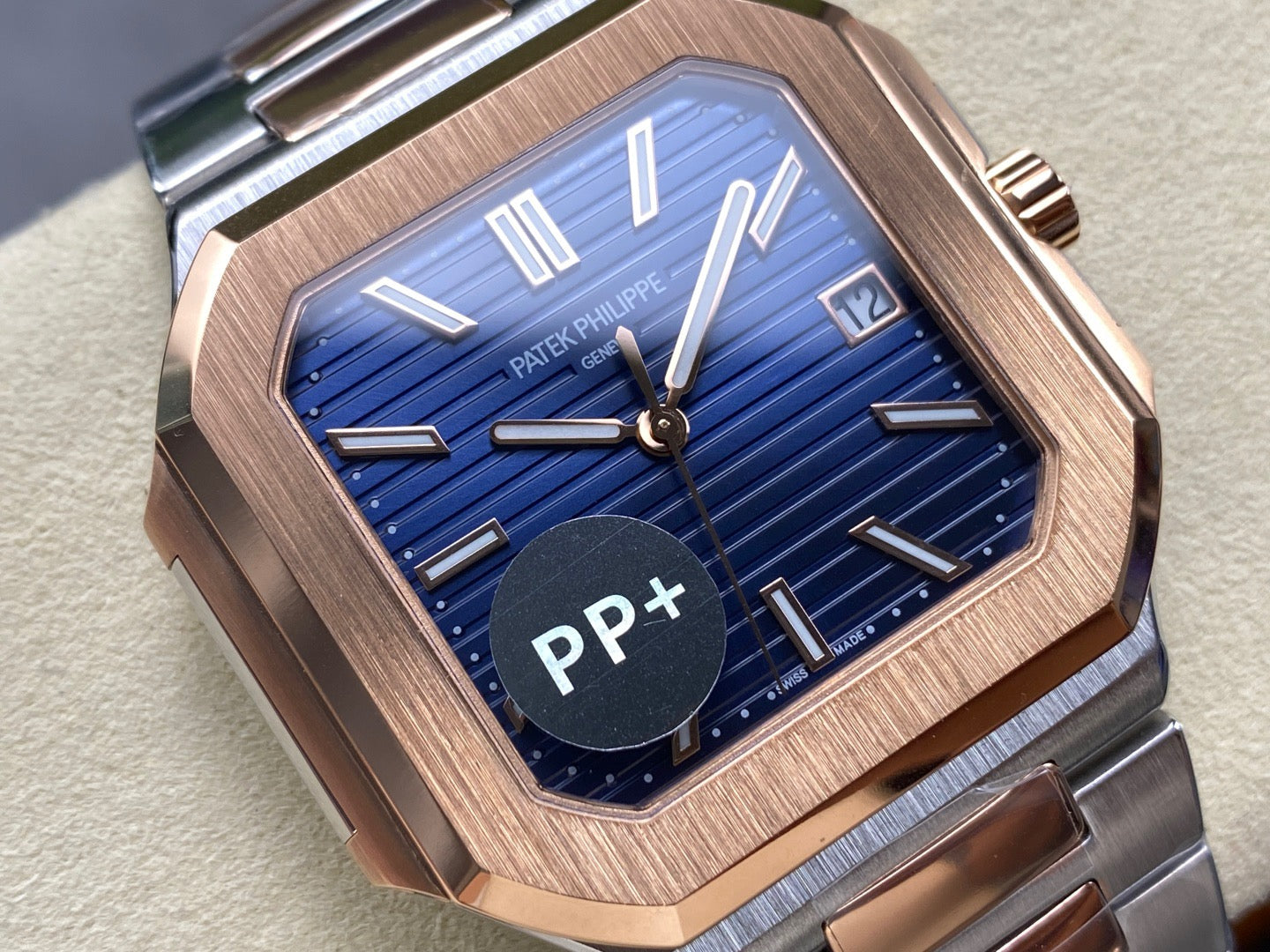 PP+ factory CUBITUS 5821