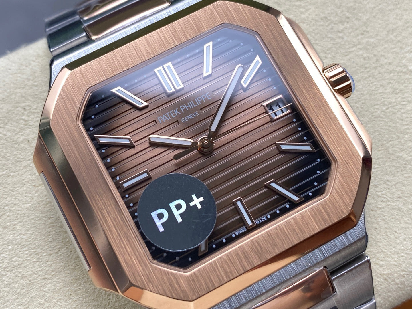 PP+ factory CUBITUS 5821