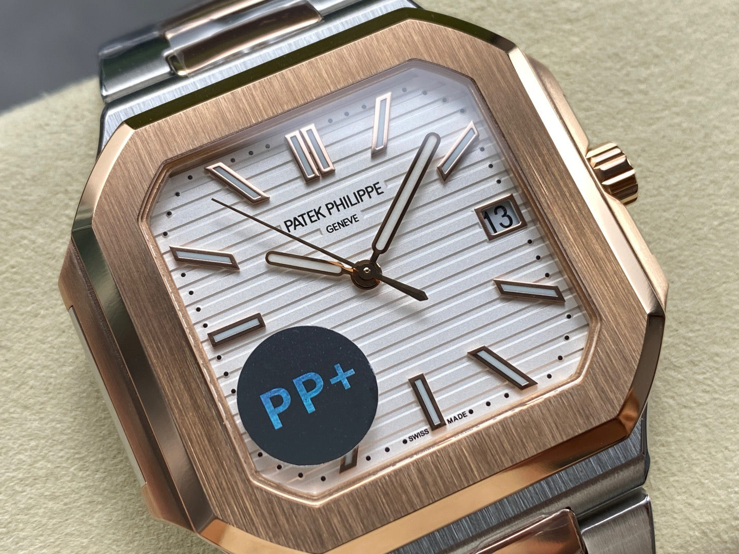 PP+ factory CUBITUS 5821