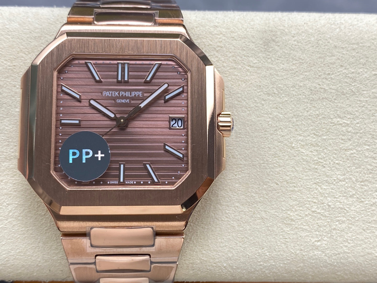 PP+ factory CUBITUS 5821